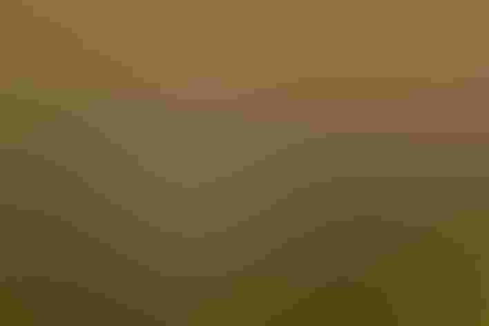 Breeding adult male. Foto: Mick Thompson/Flickr (CC-BY-NC-2.0)