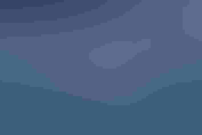 Adults with adult Long-tailed Ducks. Foto: Ron Knight/Flickr (CC-BY-2.0)