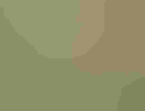 Adult. Photo: Tom Murray/Flickr (CC-BY-NC-2.0)