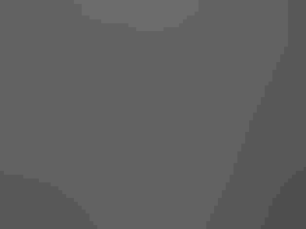 Breeding adult male. Photo: Katja Schulz/Flickr (CC-BY-2.0)