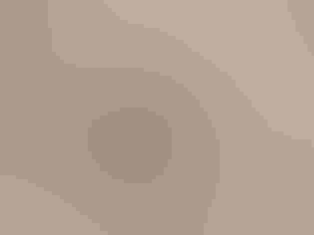 Adult male. Photo: Sergey Yeliseev/Flickr (CC BY NC ND 2.0)