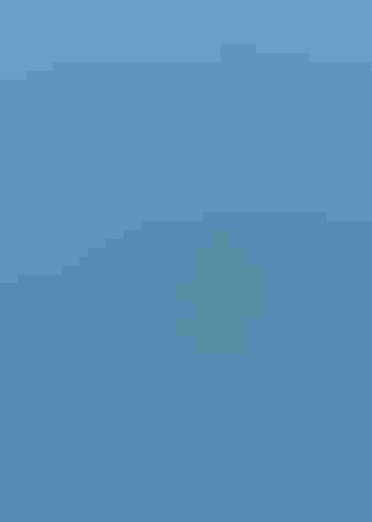 Photo: Liz Kearley/Audubon Photography Awards