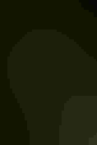 Adult female and immature. Photo: Carlos Paillacar/Audubon Photography Awards