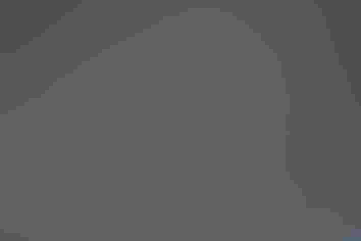 Juveniles. Foto: Aaron Maizlish/Flickr (CC BY NC 2.0)