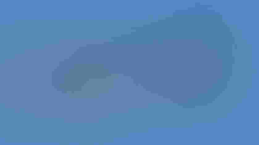 Breeding adult male and adult female. Photo: Andrew Reding/Flickr (CC BY NC ND 2.0)