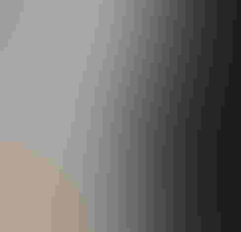 Adult male. Photo: Budgora/Flickr (CC BY NC ND 2.0)