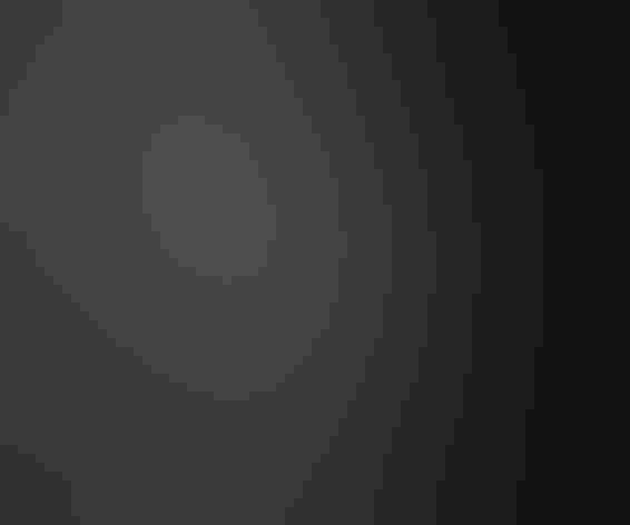 Adult female. Photo: Budgora/Flickr (CC BY NC ND 2.0)