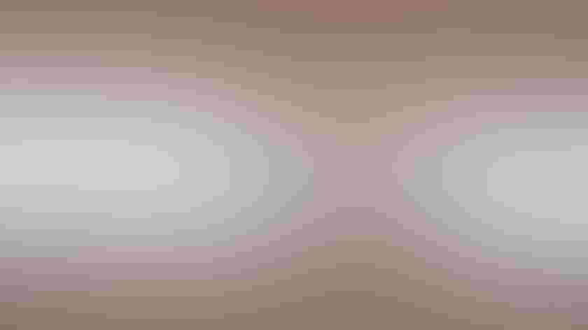 Adult summer plumage. Photo: Silver Leapers/Flickr CC (BY 2.0)