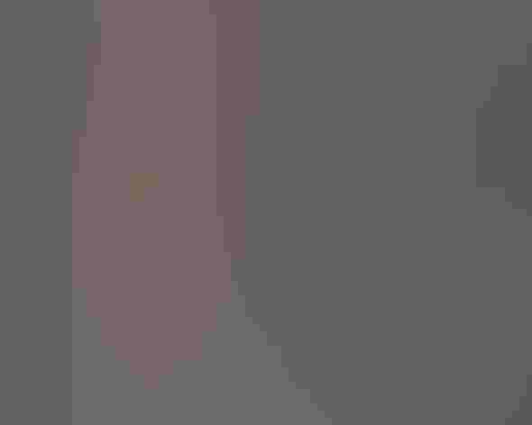 Adult male, Rocky Mountain type. Photo: Ron Knight/Flickr (CC BY 2.0)