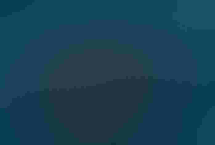 Juvenile. Photo: Robert Royse/Minden Pictures