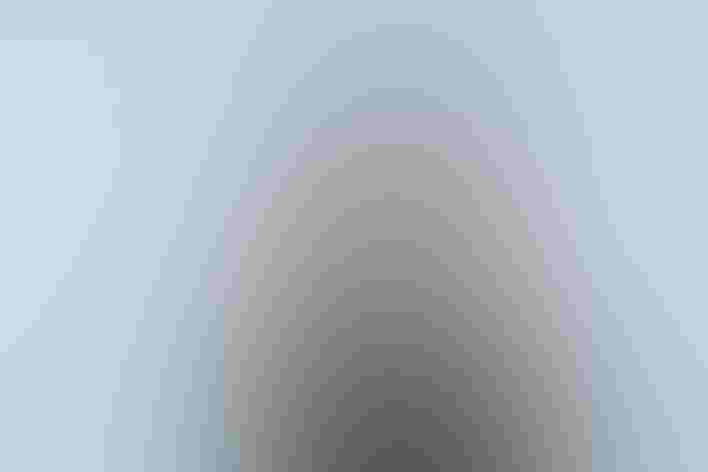 Young juvenile. Photo: Greg Balogh/USFWS