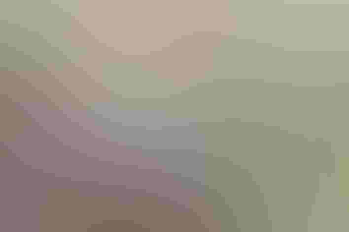 Male. Photo: rsukawat1519/Adobe Stock