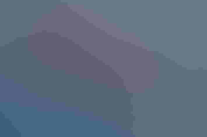 Adults. Foto: Pete Richman/Flickr (CC BY 2.0)