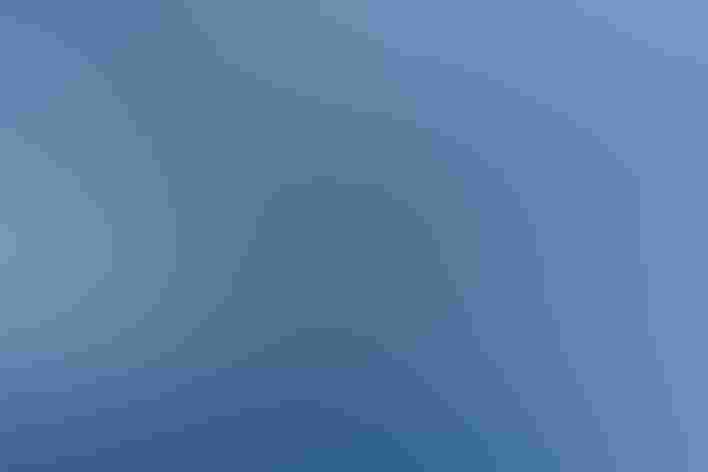 Adult. Foto: Ed Dunens/Flickr (CC BY 2.0)