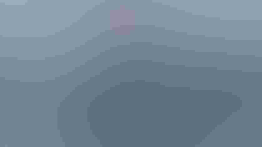 Adult. Foto: Ed Dunens/Flickr (CC BY 2.0)