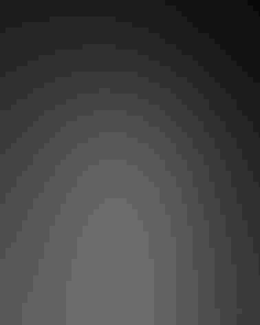 Adult. Photo: Ferd Brundick/Flickr (CC-BY-NC-ND-2.0)