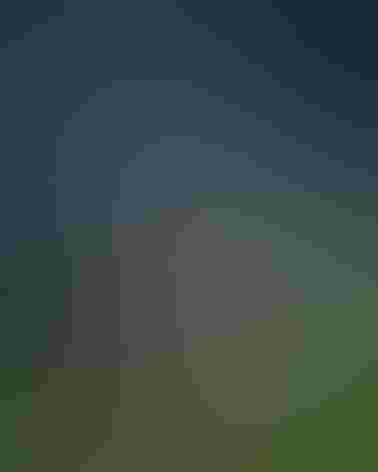 Adult. Photo: Ferd Brundick/Flickr (CC-BY-NC-ND-2.0)