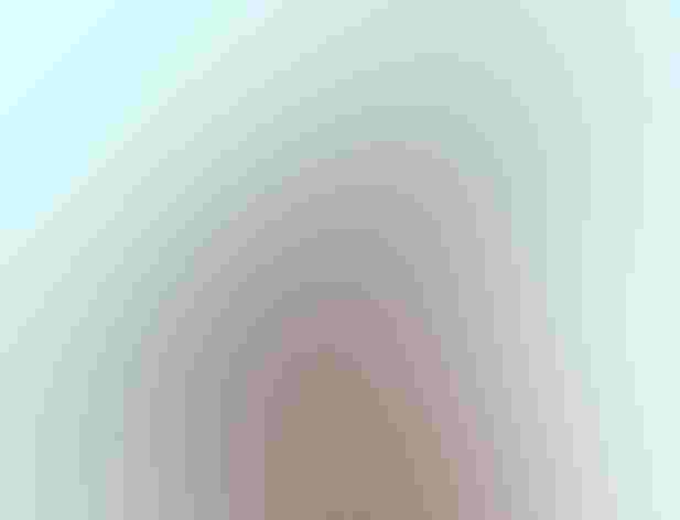 Adult. Photo: Tom Benson/Flickr (CC-BY-NC-ND-2.0)