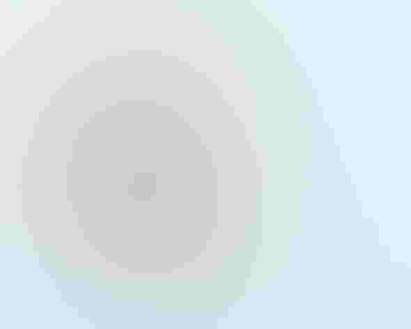 Adult. Photo: Andy Morffew/Flickr (CC-BY-2.0)