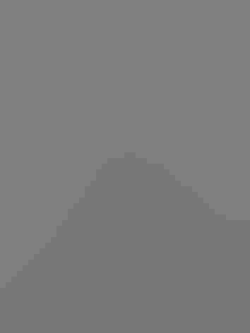 Juvenile. Photo: Felix Uribe/Flickr (CC BY SA. 2.0)