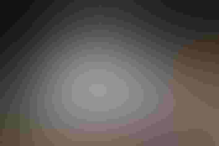 Nestling. Photo: Global Pix/iStock