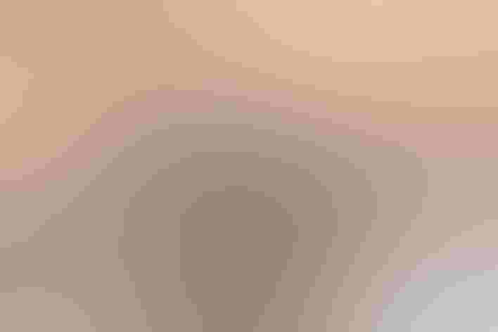 Adult. Photo: Andy Morffew/Flickr (CC BY 2.0)