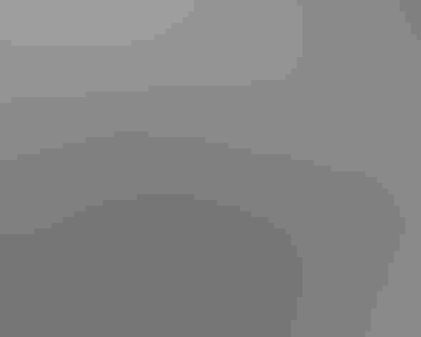 Adult. Photo: Andy Morffew/Flickr (CC BY 2.0)