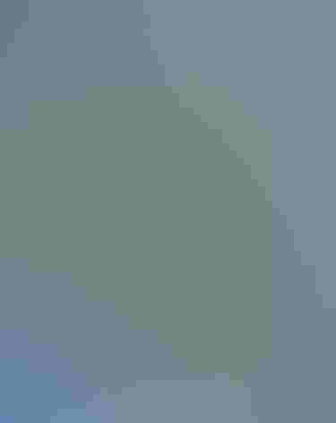 Adults. Foto: Tom Benson/Flickr (CC-BY-NC-ND-2.0)