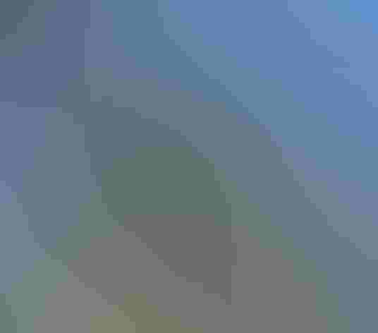 Adults. Foto: Tom Benson/Flickr (CC-BY-NC-ND-2.0)