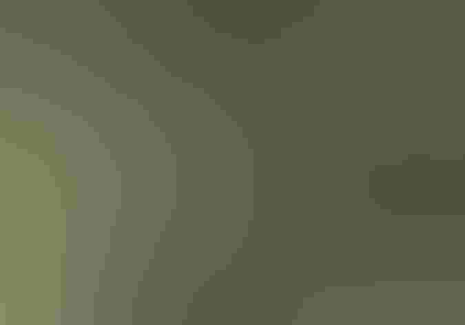 Adult. Photo: Andy Reago and Chrissy McClarren/Flickr (CC BY 2.0)