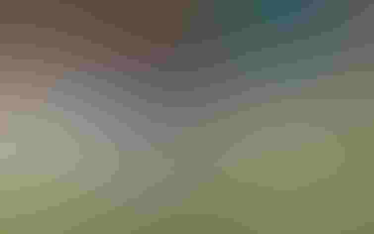 Adult. Foto: Andrew Reding/Flickr (CC-BY-NC-ND-2.0)