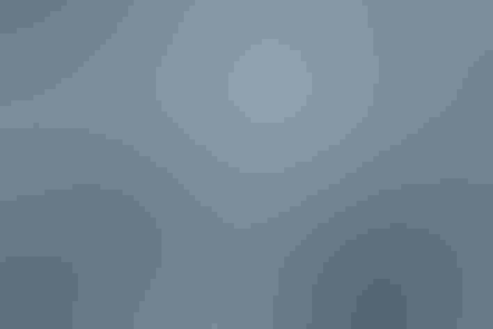 Adults. Foto: Ed Dunens/Flickr (CC BY 2.0)