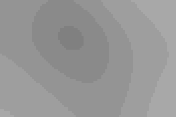 Adult. Foto: Ed Dunens/Flickr (CC BY 2.0)