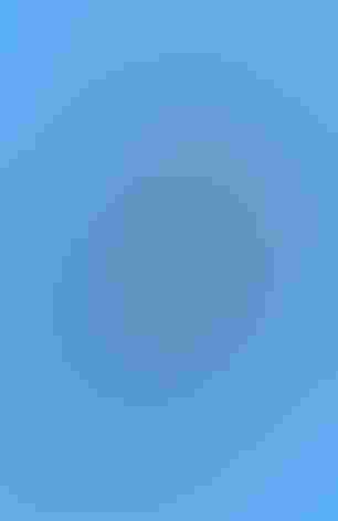 Adult. Photo: Tom Benson/Flickr (CC-BY-NC-ND-2.0)