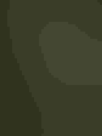 Adult. Photo: Bill Dix/Audubon Photography Awards