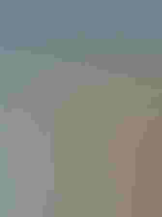 Non-breeding adult. Photo: DaveInman/Flickr (CC BY-NC-ND-2.0)