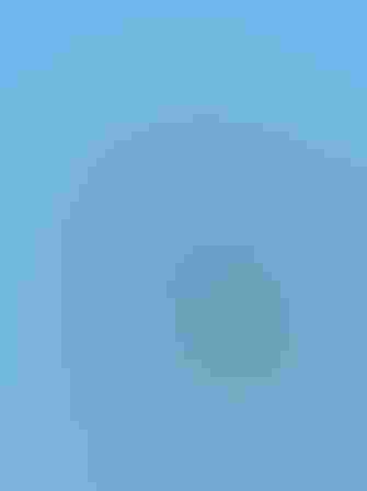 Adult. Photo: Jean Sebastien Guenette/Flickr (CC BY NC 2.0)