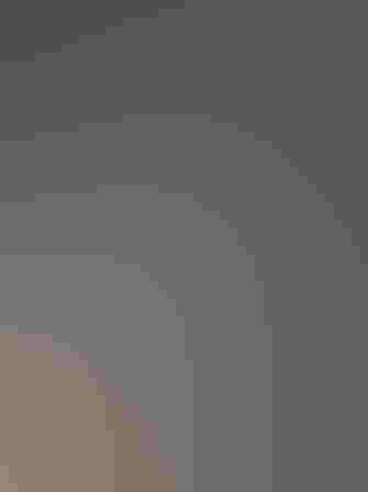 Juvenile. Photo: galaxiid/Alamy