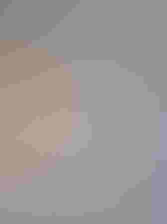 Adult. Photo: Becky Matsubara/Flickr (CC-BY-2.0)