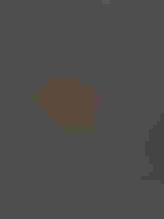 Hermit Thrush