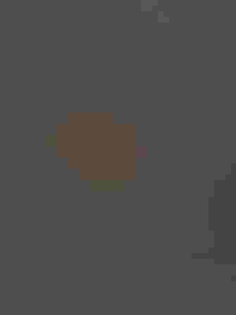 Hermit Thrush
