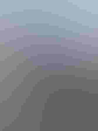 Adults. Photo: Andy Reago and Chrissy McClarren/Flickr (CC BY 2.0)