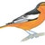 Orioles