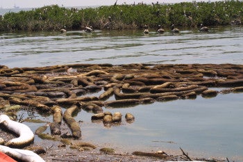 oiled sorbent boom piled up near birds