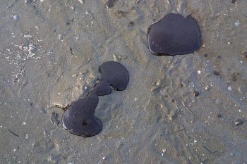 Oil oozes out of sand, David J. Ringer