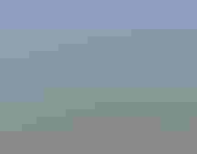 Osprey feeding young in nest. Credit: Joseph Costanza/³Ô¹ÏºÚÁÏ Photography Awards