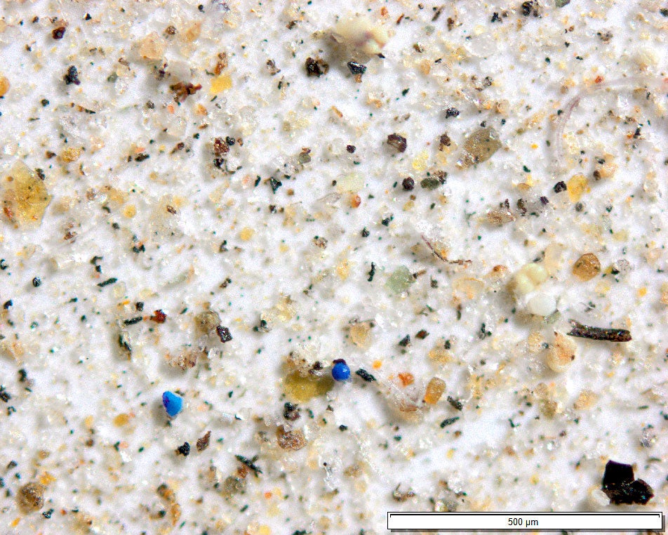 Plastics particles, microbeads, and fibers found in deposition samples from National Park and Wilderness areas of the western US. Janice Brahney