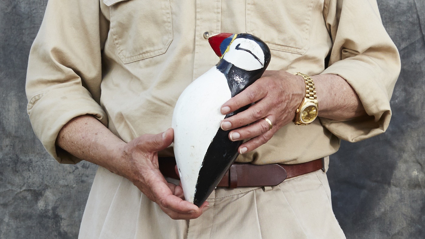 Excerpt: Project Puffin | Audubon