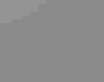 Photo of a Purple Finch perched during snowfall. Credit: dfaulder/Flickr