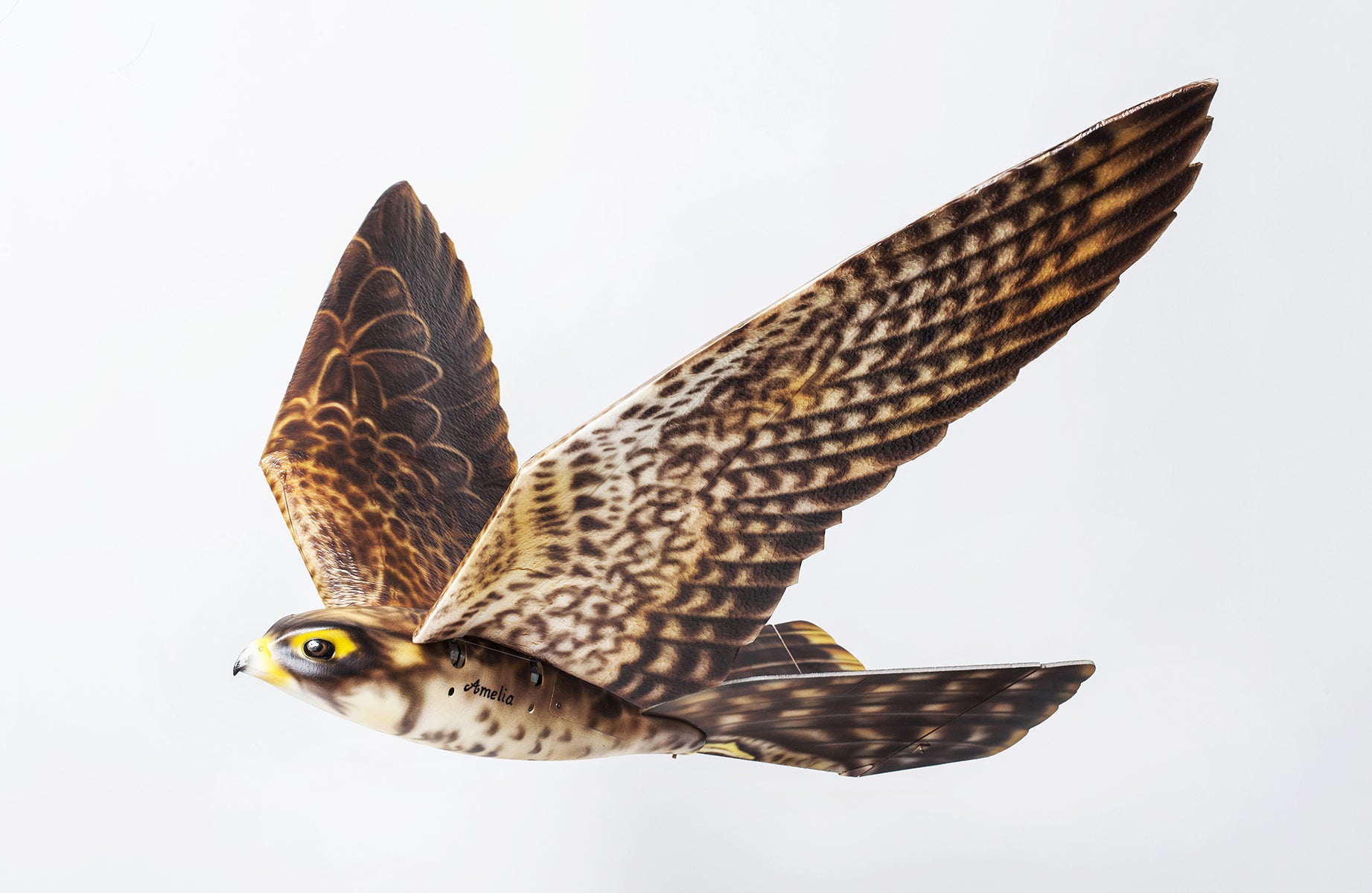 Robird. Clear Flight Solutions